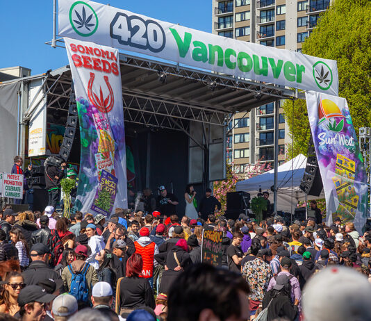 Seed and Stone Riding The Canadian Cannabis Boom Seed and Stone Riding The Canadian Cannabis Boom